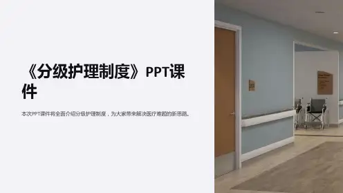 《分级护理制度》课件