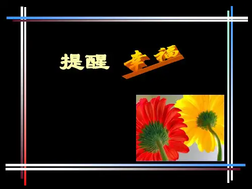 提醒幸福PPT课件