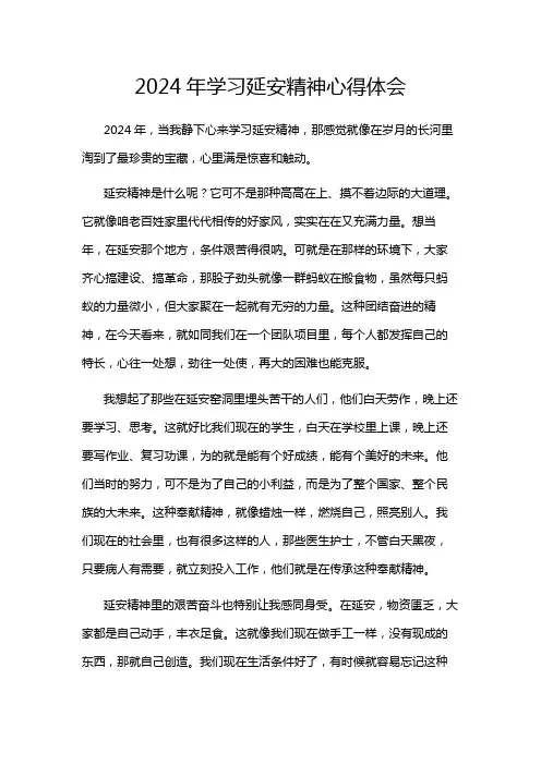 2024年学习延安精神心得体会