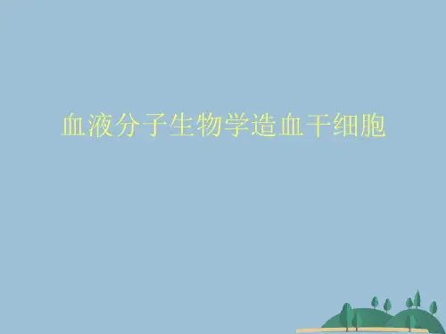 血液分子生物学造血干细胞