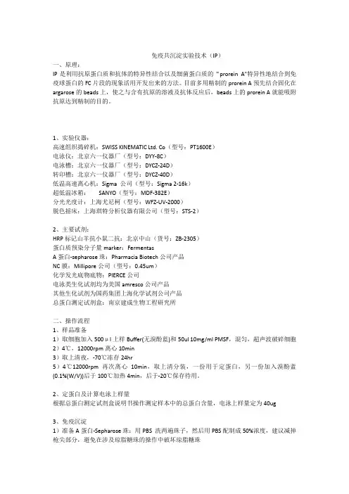 免疫共沉淀protocol