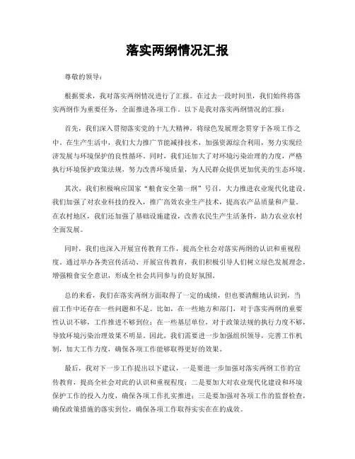 落实两纲情况汇报