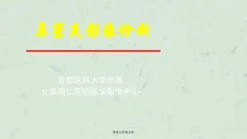 鼻窦炎影像诊断课件