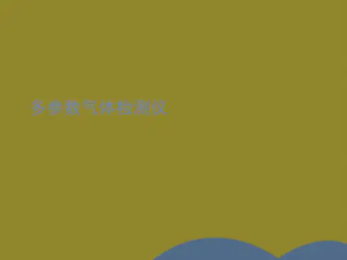 多参数气体检测仪(共9张PPT)