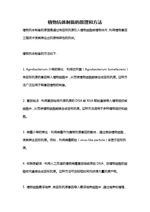植物抗体制备的原理和方法