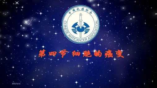 高中生物必修1：6.4《细胞的癌变》课件