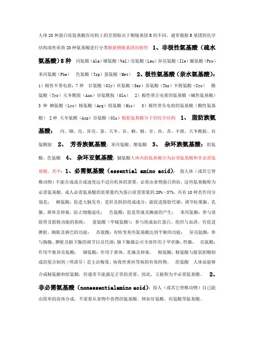氨基酸分类