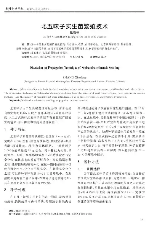 北五味子实生苗繁殖技术