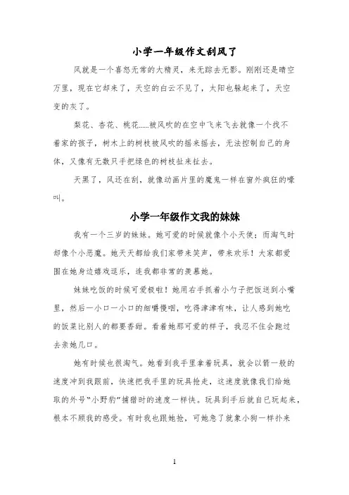 小学一年级作文刮风了