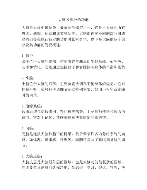 大脑各部分的功能