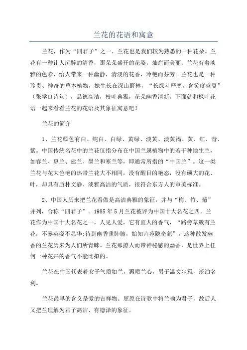 兰花的花语和寓意