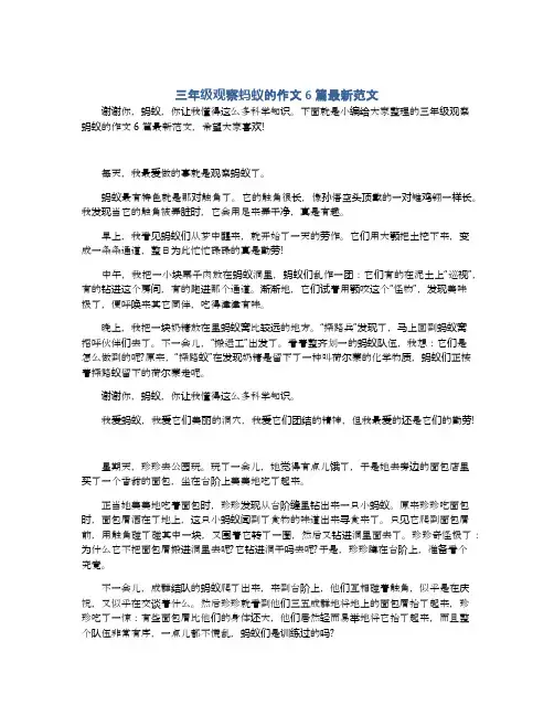 三年级观察蚂蚁的作文6篇最新范文