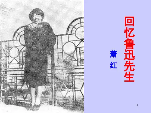 回忆鲁迅先生萧红ppt课件