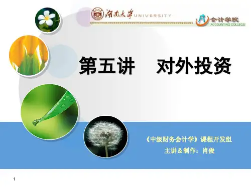 对外投资湖南大学中财.pptx