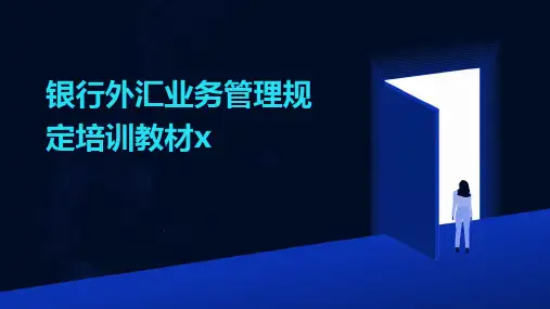 2024年银行外汇业务管理规定培训教材x