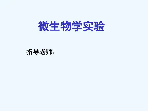 实验一、油镜的使用和细菌形态观察及革兰氏染色