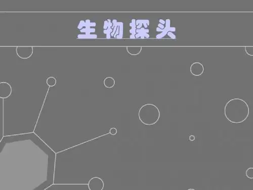 生物探头生物化学课程ppt