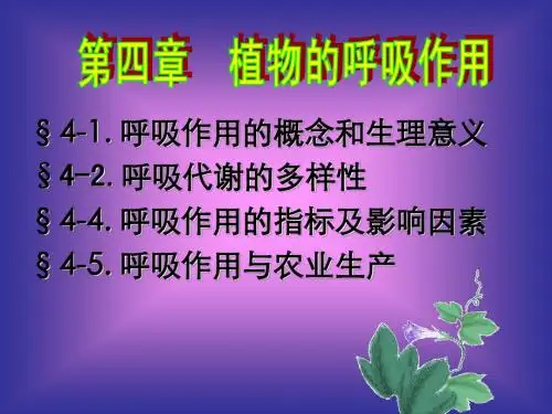 第四章呼吸作用