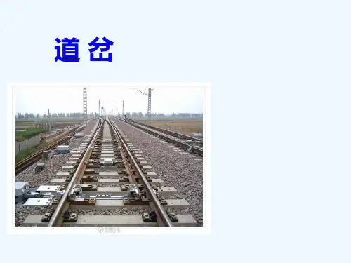 轨道工程-道岔