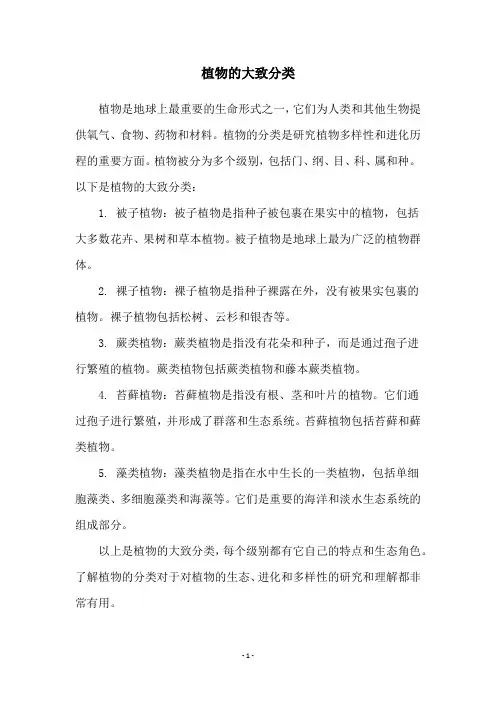 植物的大致分类