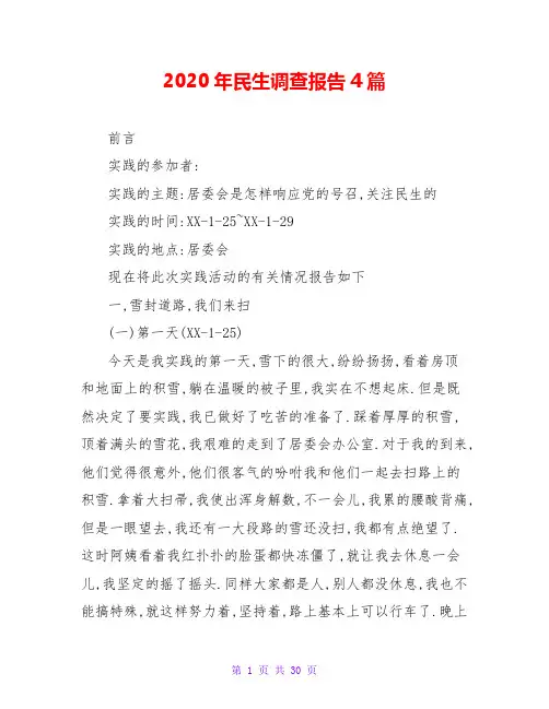 2020年民生调查报告4篇