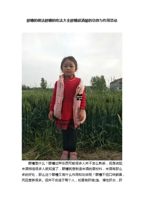 醪糟的做法醪糟的吃法大全醪糟甜酒酿的功效与作用禁忌