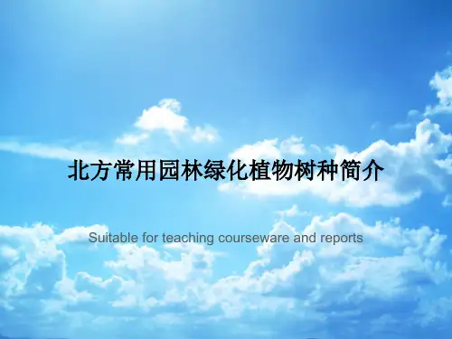 北方常用园林绿化植物树种简介