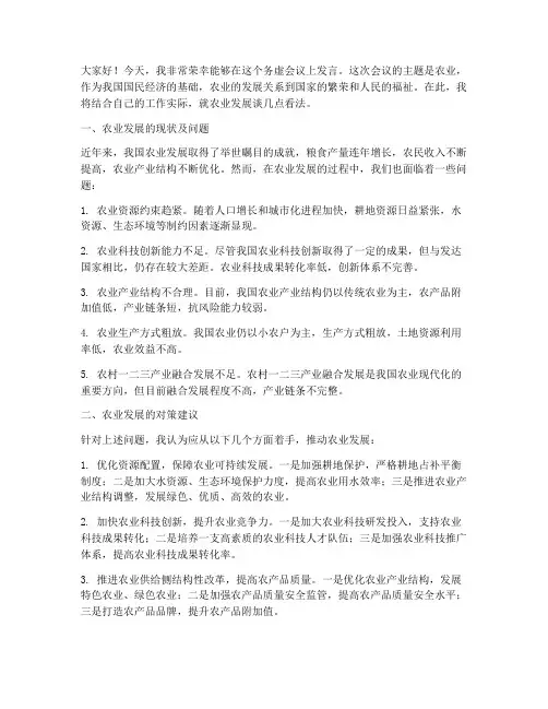 务虚会议发言稿_农业