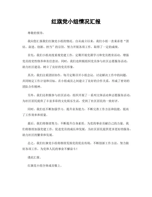 红旗党小组情况汇报
