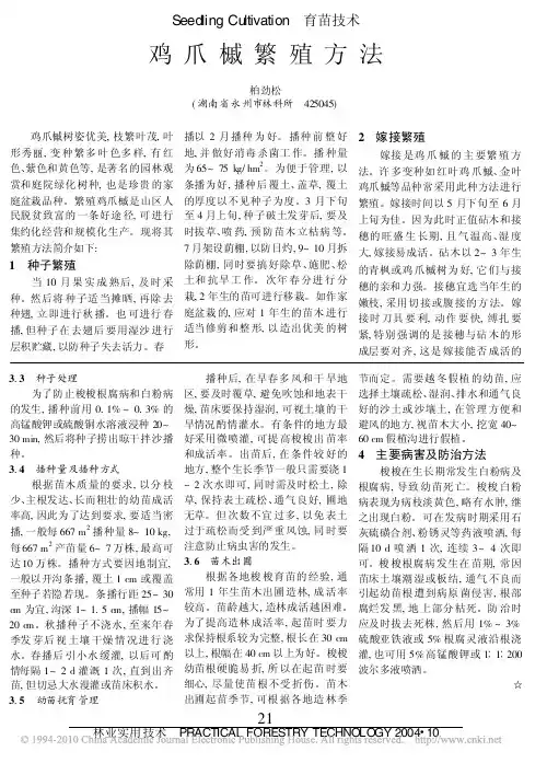 日本红枫,鸡爪槭繁殖方法