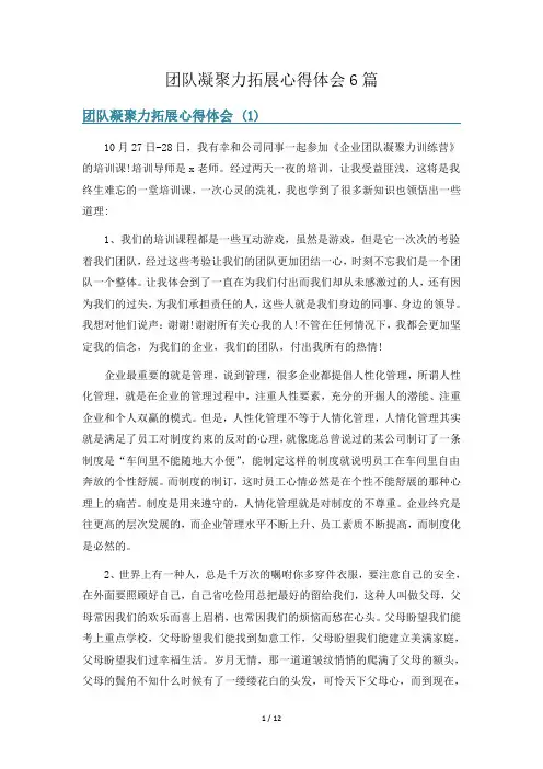 团队凝聚力拓展心得体会6篇
