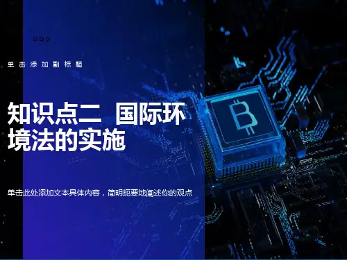 知识点二国际环境法的实施