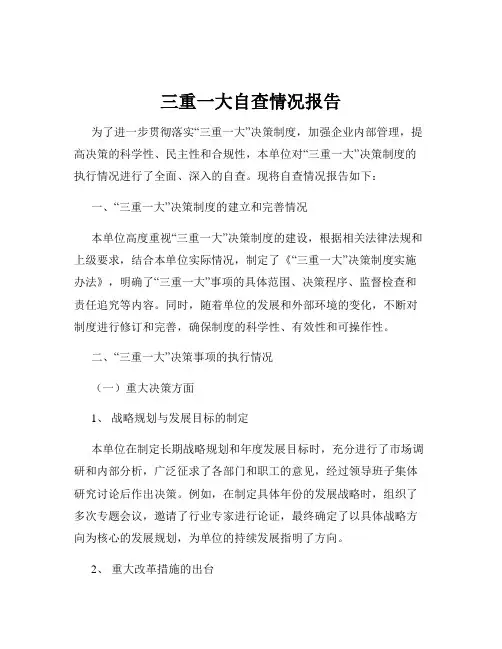 三重一大自查情况报告