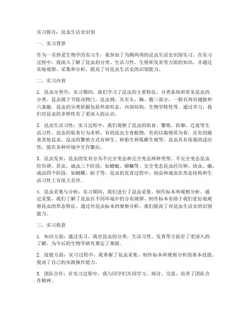 昆虫生活史识别实习报告