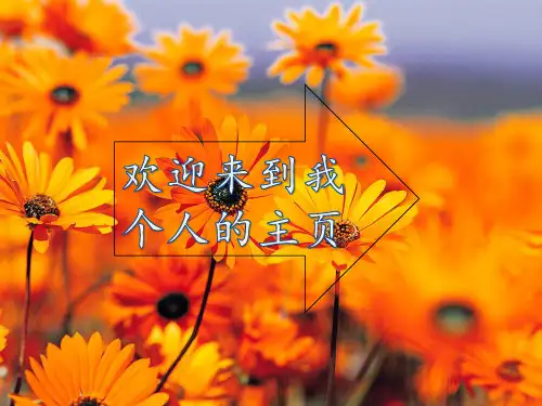 Autobiography(自传)