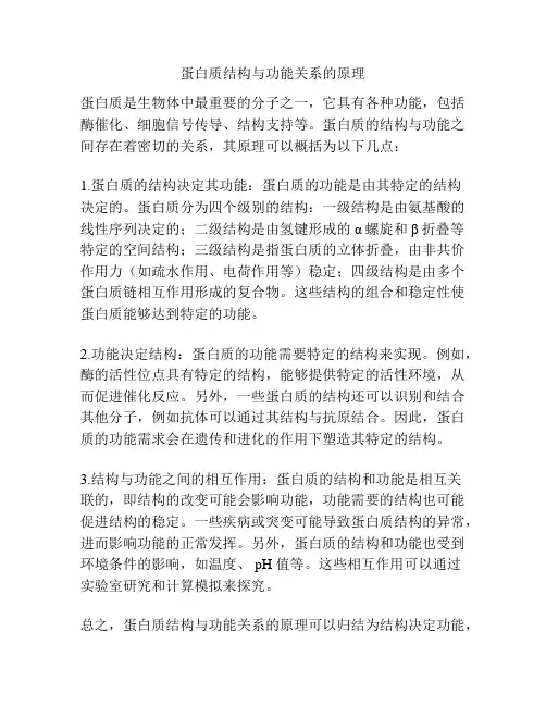 蛋白质结构与功能关系的原理
