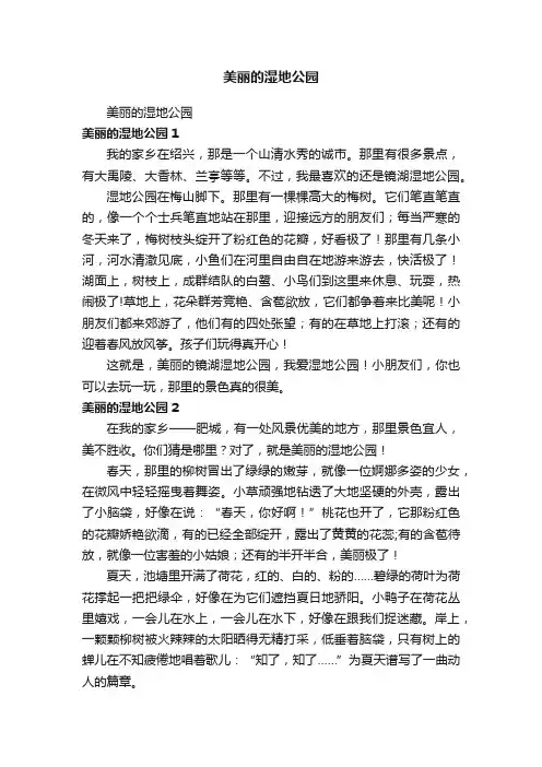 美丽的湿地公园