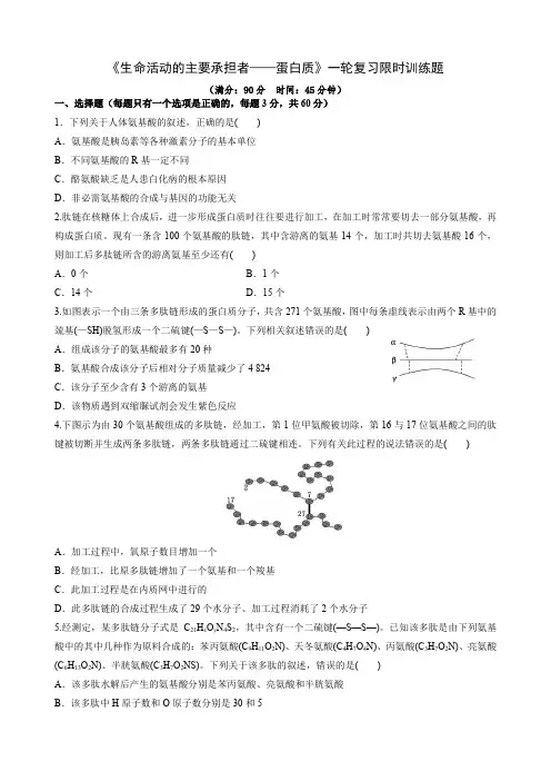 生命活动的主要承担者——蛋白质一轮复习限时训练题