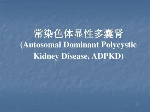 (医学课件)多囊肾ADPKDppt演示课件