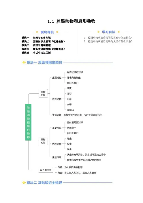 腔肠动物和扁形动物 (解析版)