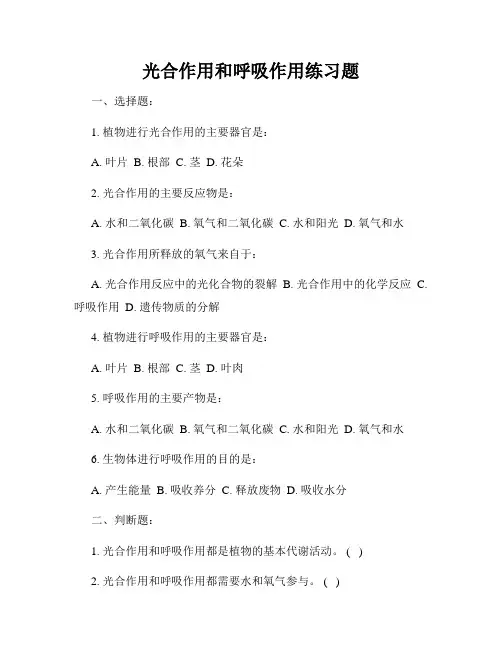 光合作用和呼吸作用练习题