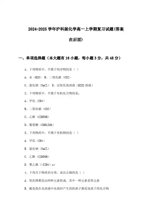 沪科版化学高一上学期试题及解答参考(2024-2025学年)