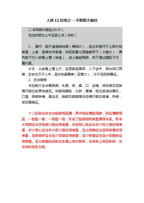 人体12经络之---手阳明大肠经