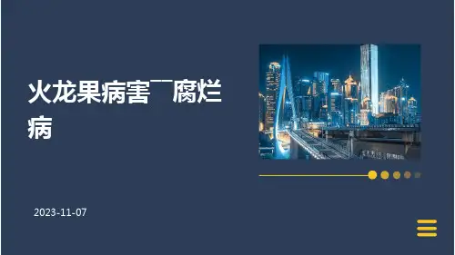 火龙果病害――腐烂病