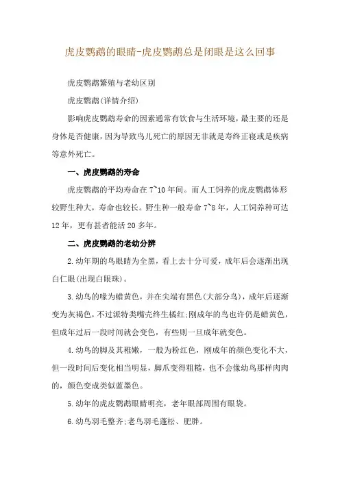 虎皮鹦鹉的眼睛-虎皮鹦鹉总是闭眼是这么回事