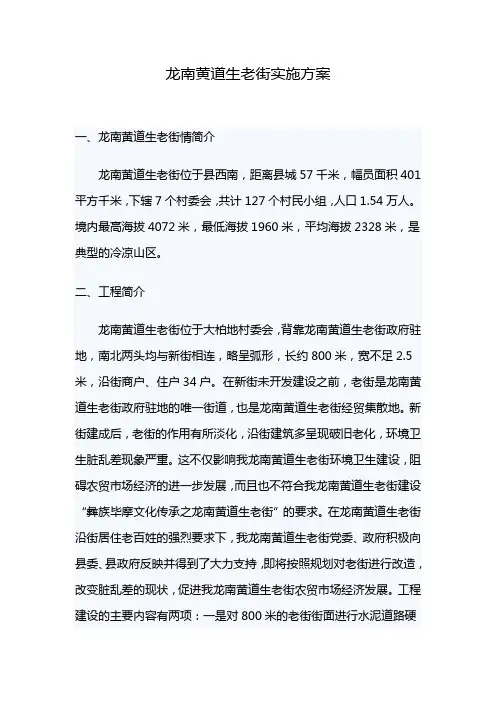 龙南黄道生老街实施方案