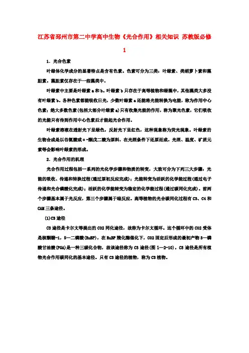 高中生物《光合作用》相关知识 苏教版必修1