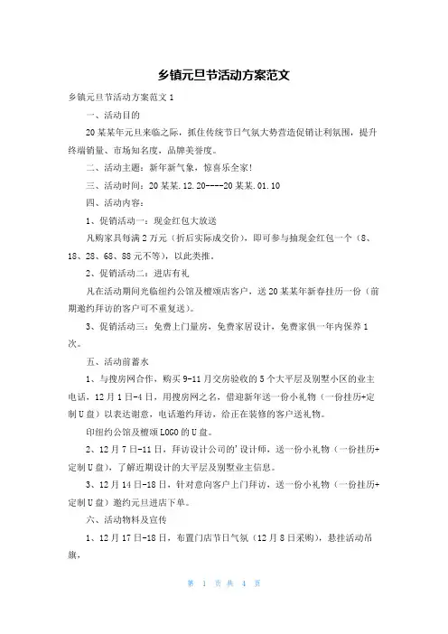 乡镇元旦节活动方案范文