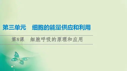 一轮复习人教版第3单元第8课细胞呼吸的原理和应用课件(98张)