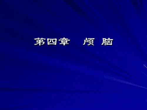 颅脑-课件